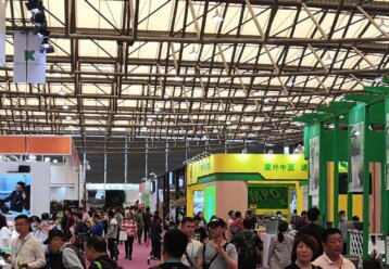 Why Working with a Sourcing Agent Can Help You Access the Best Suppliers Worldwide